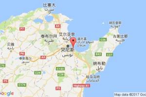 拉迪斯(雷達斯)港口查詢_rades港口代碼_突尼斯拉迪斯(雷達斯)港口代碼